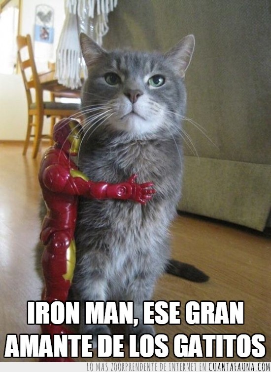 iron man,ironman,muñeco,gato,quieto,gatitos